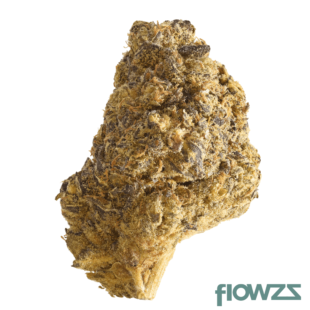 hi-society-wt-27-1-white-truffle