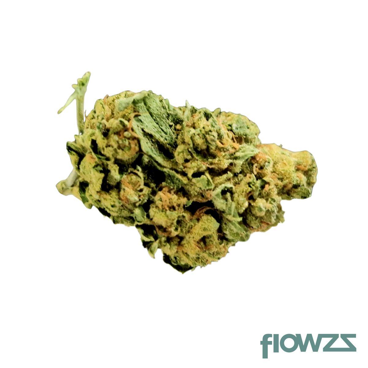 Weeco 23/1 Frosted Lemon Angel - flowzz.com
