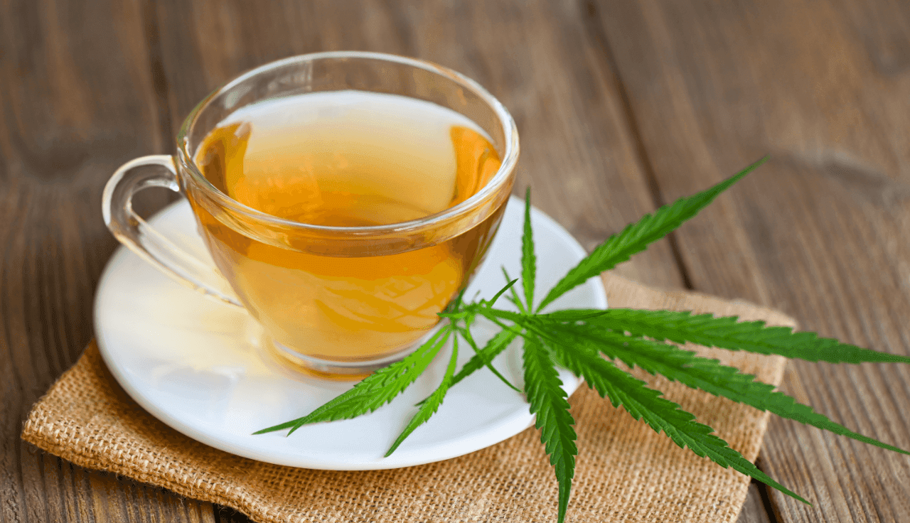 Cannabis Tee Zubereitung Glas mit Hanfblatt