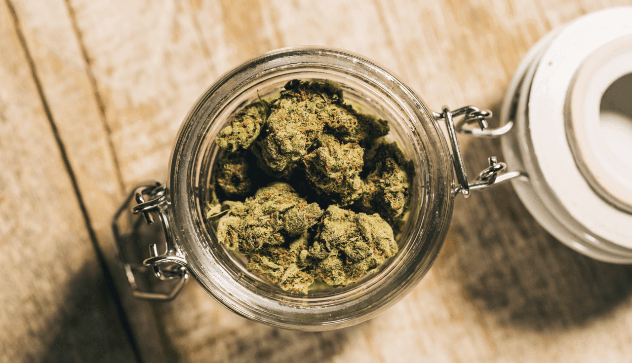 Medizinische-Cannabisblüten für Cannabis Tee im Glas