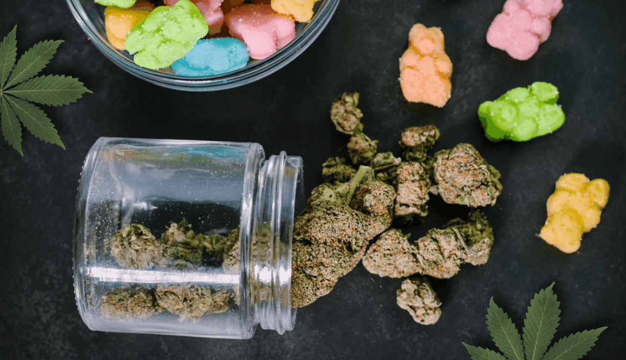 edibles-gummibaerchen-cannabis