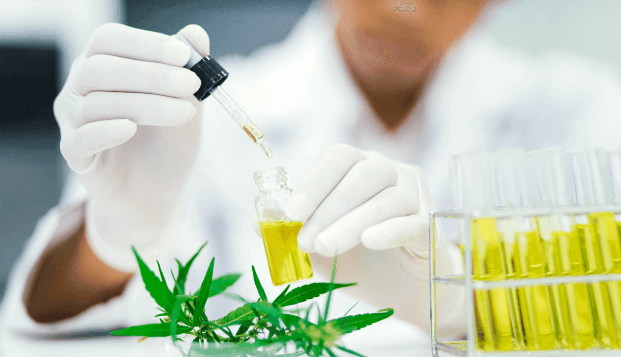 Cannabis Extraktionsverfahren im Labor