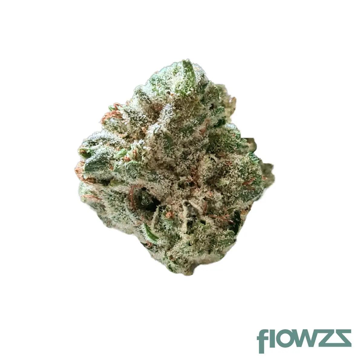 cannabistada-25-1-gg-gorilla-glue