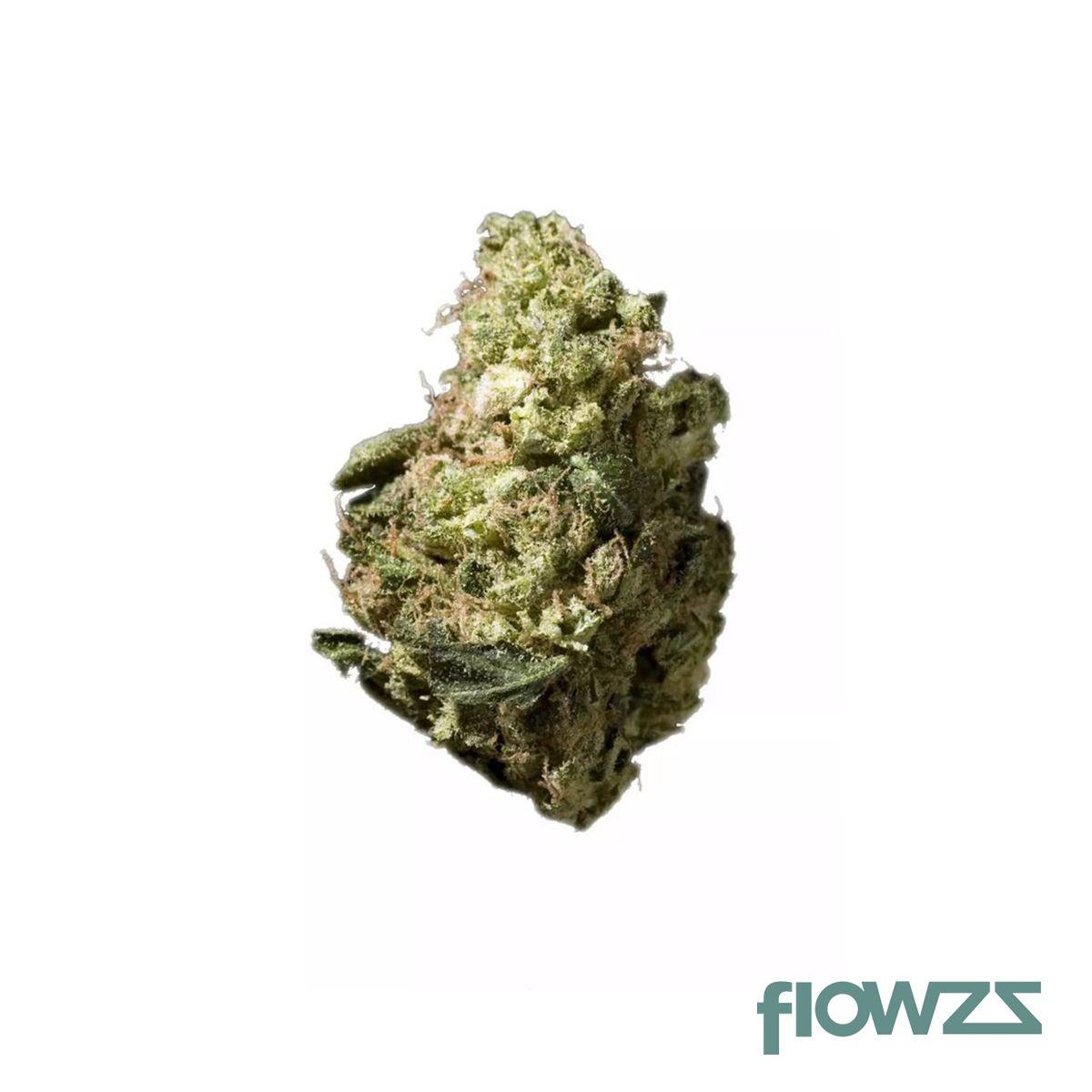 Cannabis flos 22/1 PT Headband - flowzz.com Preisvergleich 