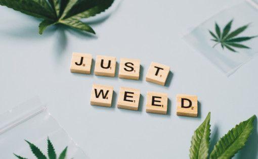Flowzz Mission Statement - Vorstellung Preisvergleich Cannabis Apotheken