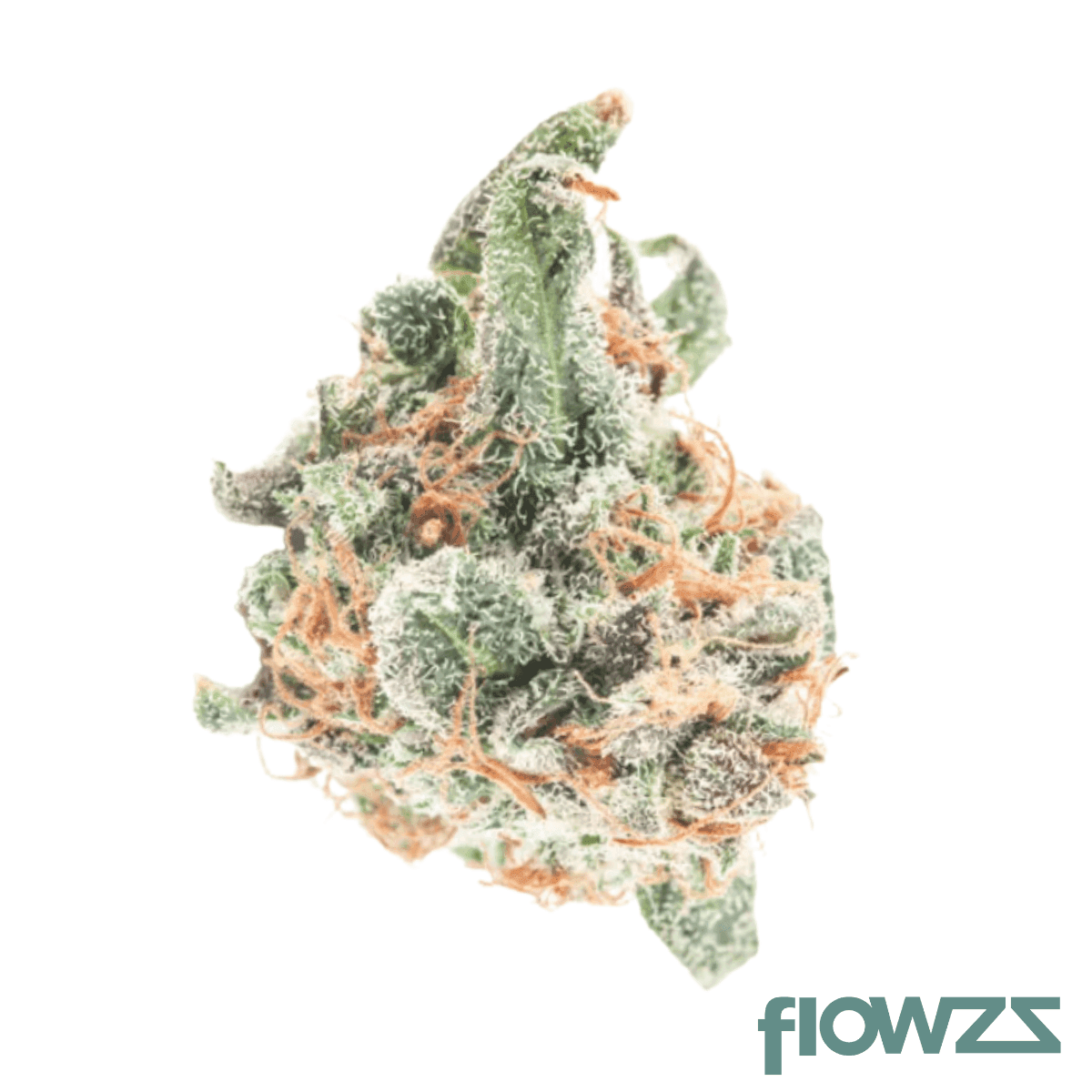 cannabis-blüte-startseite-flowzz-1