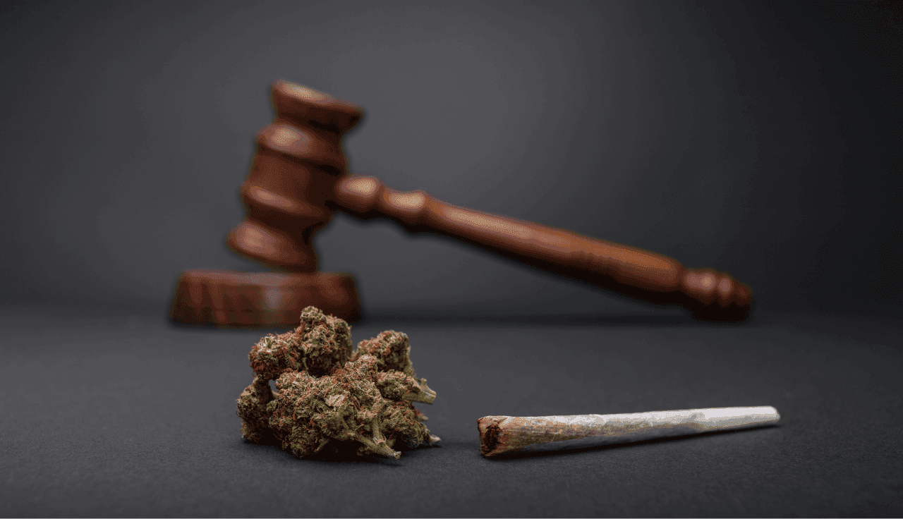 cannabis-legalisierung-faqs