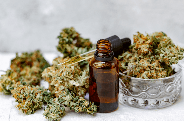 Qmid Curaleaf Vape Pen Grundgerät (QMID) zum besten Preis